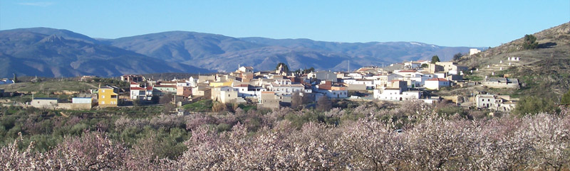 Panorámica Higueral